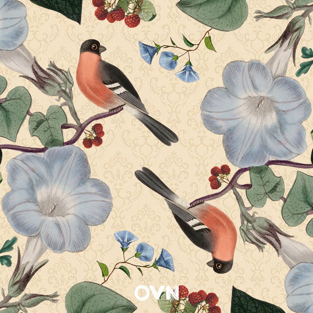 Image Cover